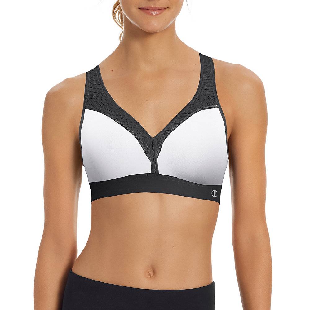 Champion The Curvy Sports Bra - B9373