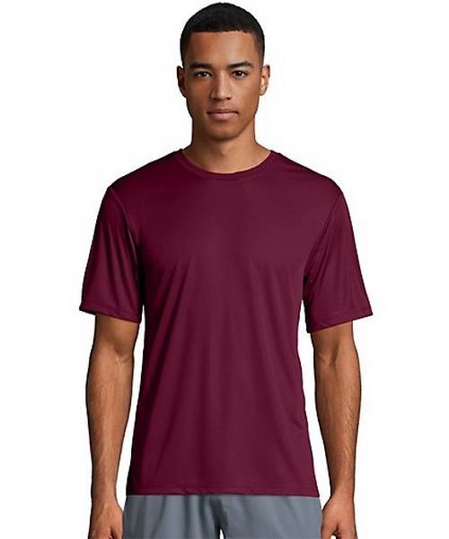 Hanes 4820 Tagless Men's Cool DRI T-Shirt At Wholesale Price